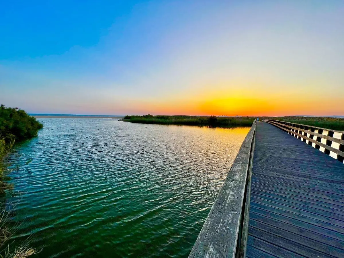 Appartamento Outstanding Condo- Beach, Pool & Golf By Becherish Gale